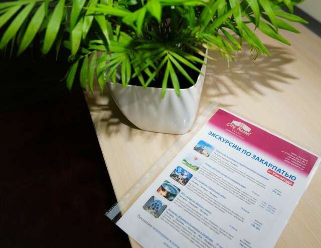 Хостелы City Hostel Panorama Ужгород-41